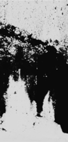 https://jjpous.com/files/dimgs/thumb_0x290_9_74_889.jpg
